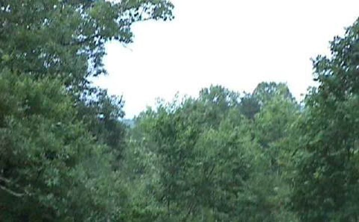L326 Echo Road, Morganton