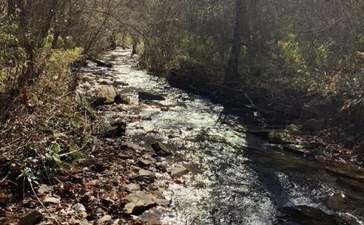 Lot 95 Cedar Road, Ellijay