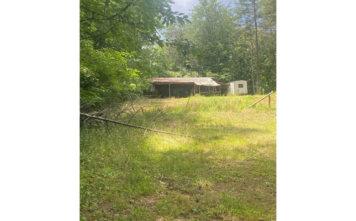 LT161 Cozy Cove Hollow, Blairsville