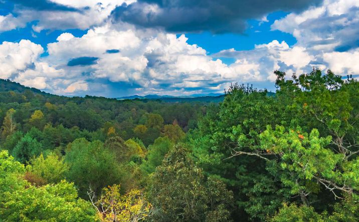 LT 15 Weaver Creek Estates, Blue Ridge