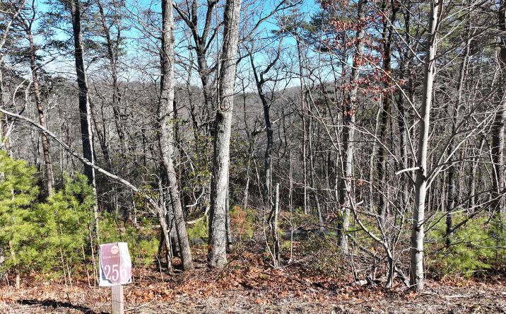256 Stone Cliff Drive, Ellijay