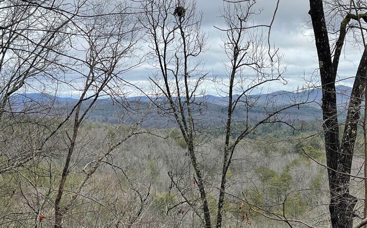 Bell Camp Ridge Road, Blue Ridge