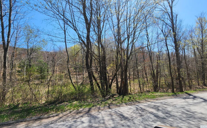 135 Nauvoo Road, Windham