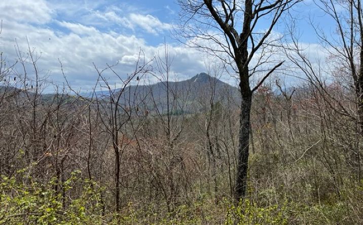 3016 Jump Off Ridge, Hiawassee