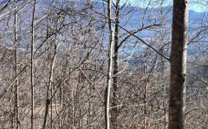 Lot 30 Hidden Summit Road, Hiawassee