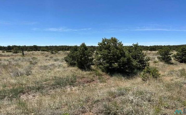 55 Elk Trail, Pie Town