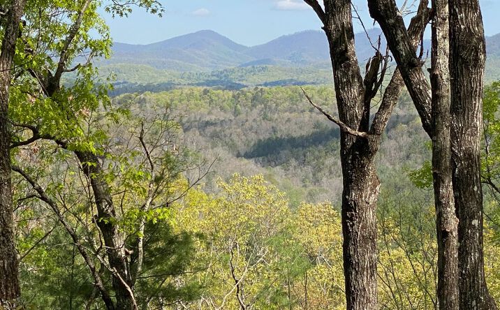 LOT 4 Raven Ridge Circle, Mineral Bluff