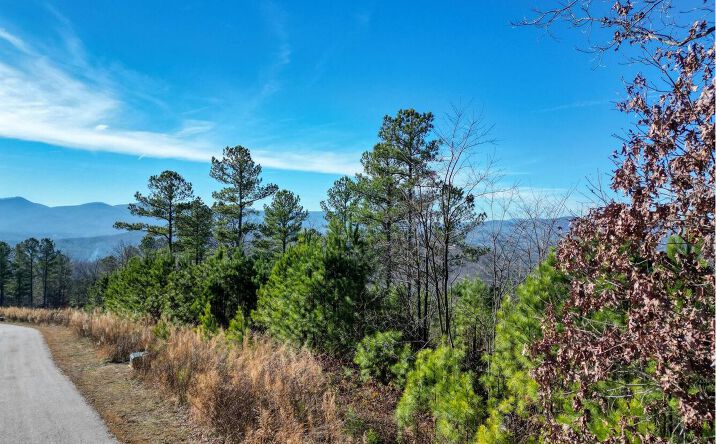 LOT10 Mile High Lane, Blairsville