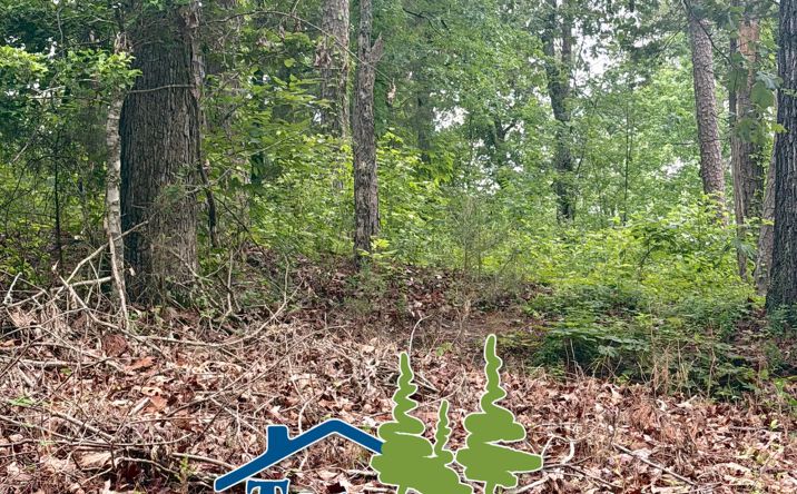 Gore Springs Community, Gore Springs