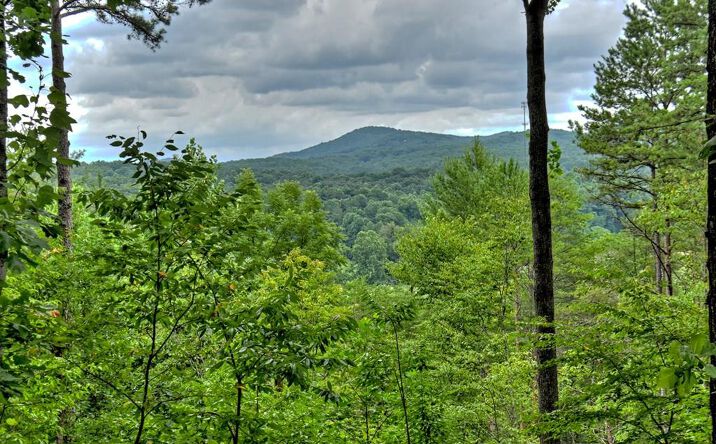 Lot 4 Hemptown Overlook, Morganton
