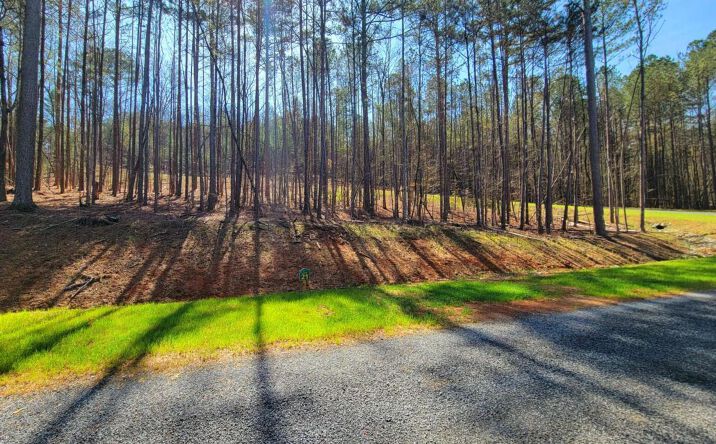 277 Mountaingate Way, Ellijay