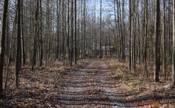 St Rt 133, Jackson Twp