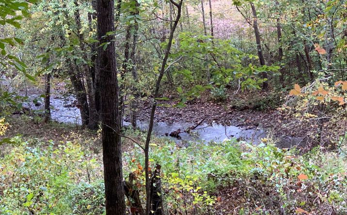 Eagle Fork Road, Hayesville