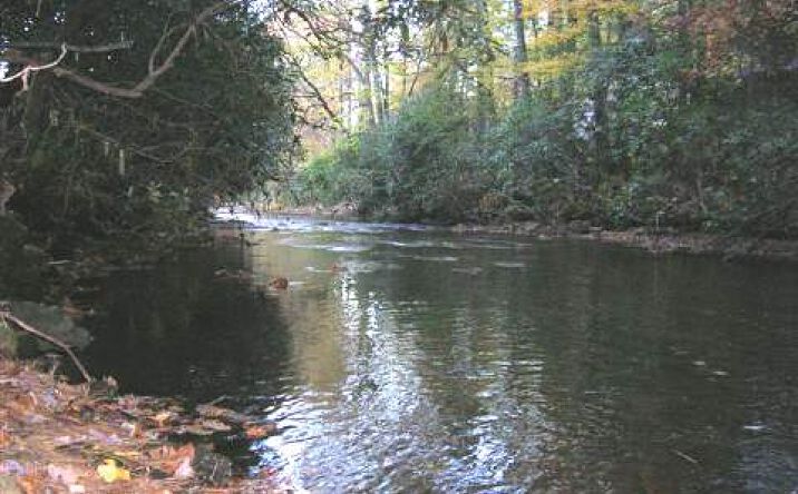 LOT23 Big Pine Drive, Hiawassee
