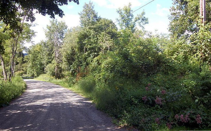 Maple Drive, Canaan
