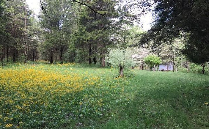 Dunham Road, Washington Twp