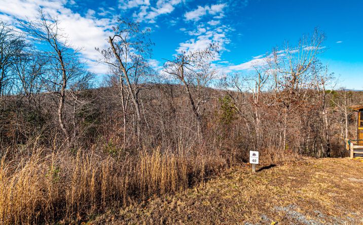 1.69A Amber Ridge Road, Blue Ridge