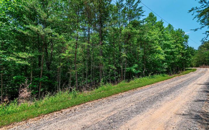 3.35 Pine Lane, Mineral Bluff