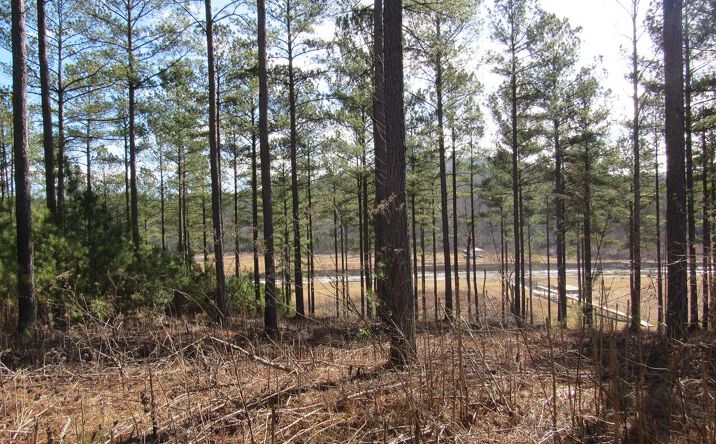 Lot 116 Sandy Lake Ln, Blairsville