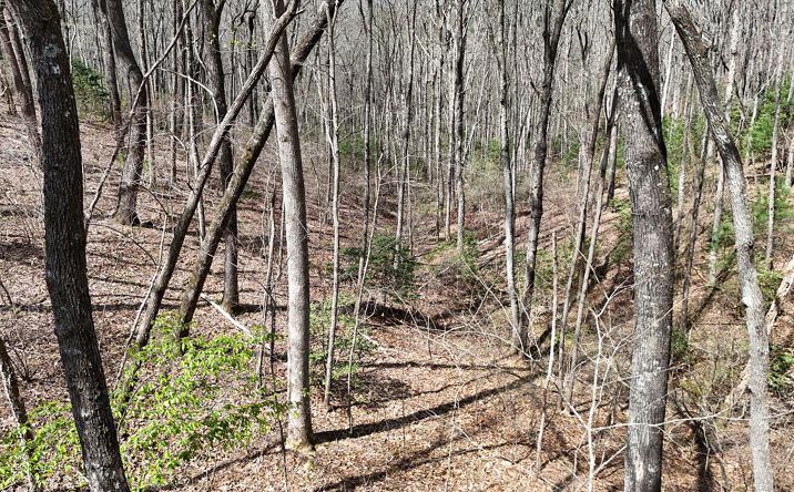 L129/124 Laurel Crossing, Blue Ridge