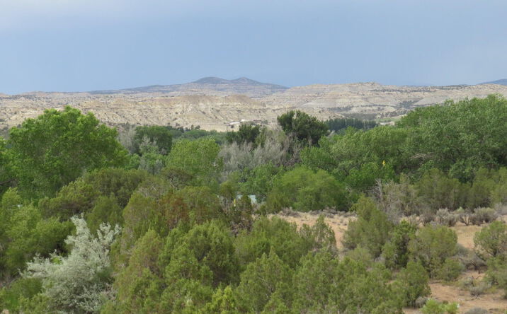 LOT 2A ROAD 2950, Aztec