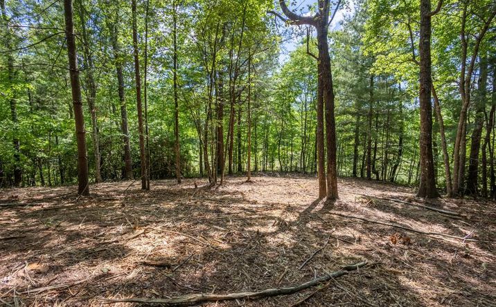 4.2 acre Donley Road, Murphy
