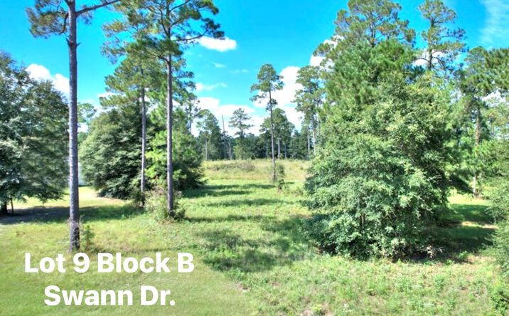 TBD Swann Drive Lot 9 Block B, Cordele