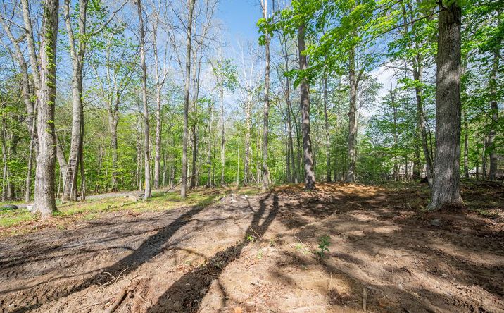 3826 S Scenic Highway, Bland