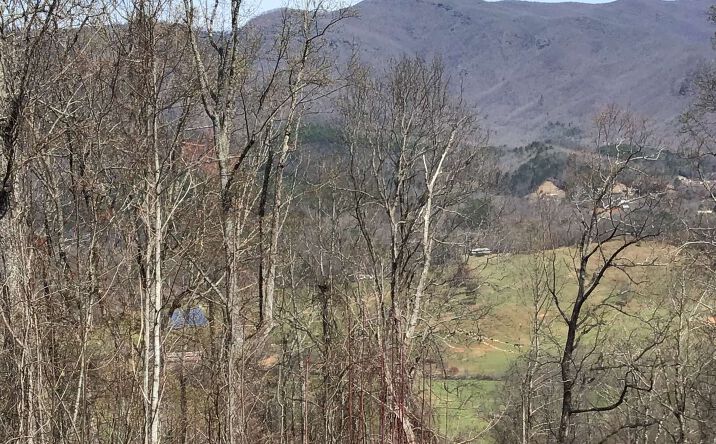 #117 Shiloh, Hayesville