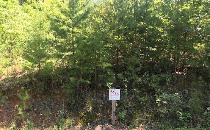 LT 58 Old Toccoa Loop, Mineral Bluff