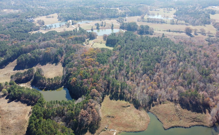 315 Gore Lakes Rd, Dallas