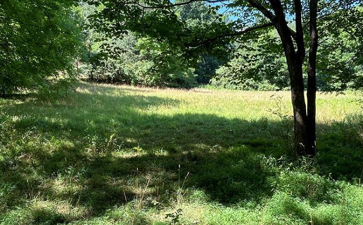 N/A Wehutty Rd., Murphy