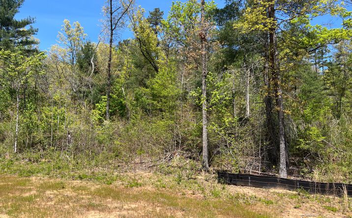 L 25 Blue Mountain Creek, Morganton
