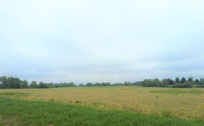 56.036ac Cuba Road, Wilmington