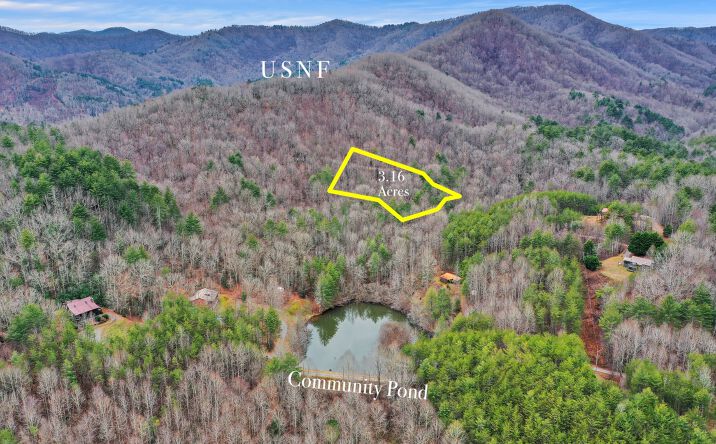 3.16 Hells Hollow Way, Blue Ridge
