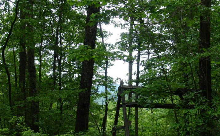 L 401 Little Hiawatha Trail, Blue Ridge
