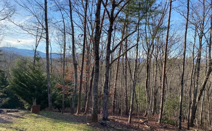 LOT13 Price Road, Blue Ridge