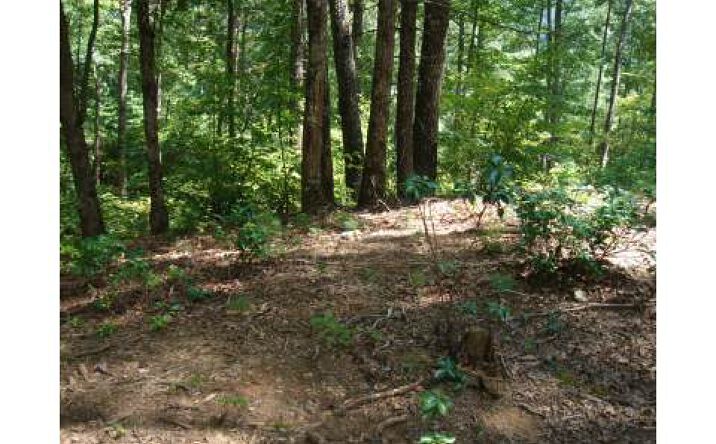 #11-B Prospectors Cove Road, Blairsville