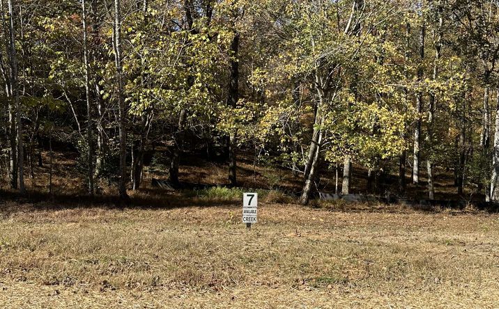 LOT 7 Clear Creek Preserve Way, Ellijay