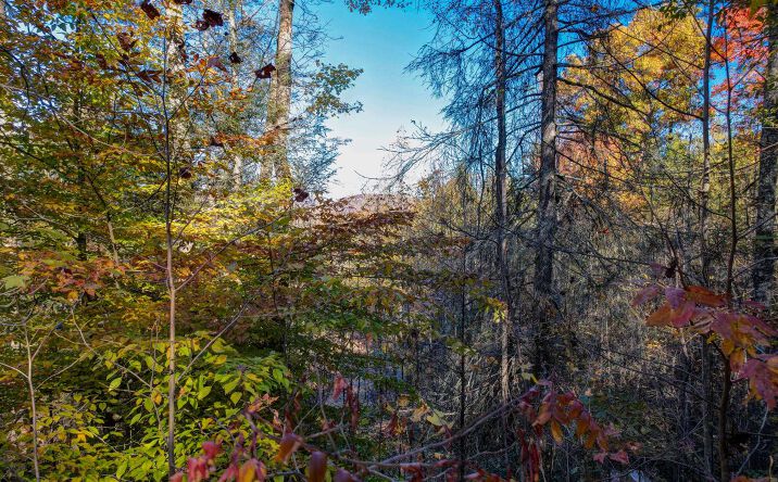 3 AC Quail Ridge Road, Blue Ridge