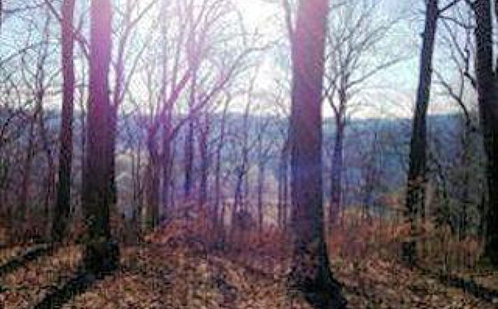 Pipe Creek Road, Batesville