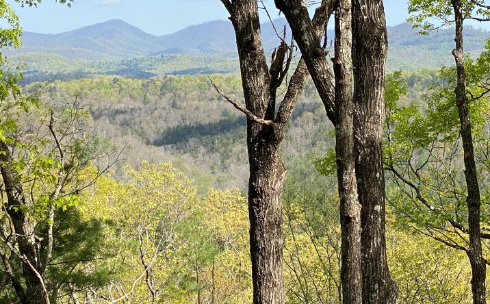 LOT21 Raven Ridge Circle, Mineral Bluff