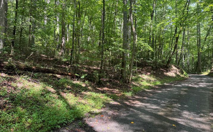 4.3 Acre Northside Road, Suches