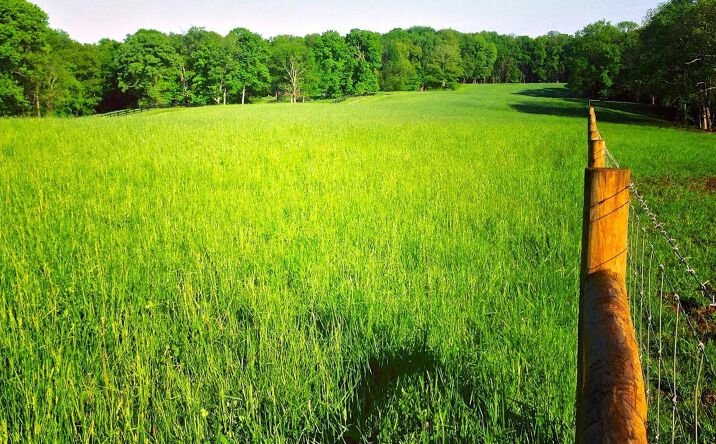 Lot 6 Middleboro Road, Washington Twp