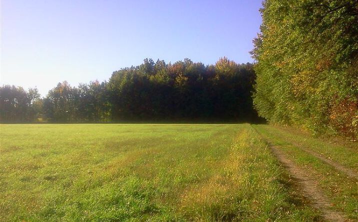 State Rd 46, Sunman