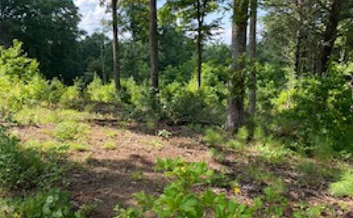 LT 29 Highland Park, Blairsville