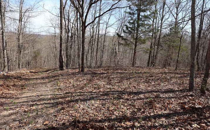 Tract 3, Catalpa Ln, Jackson