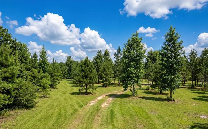 Beatty Mill Circle, Valdosta