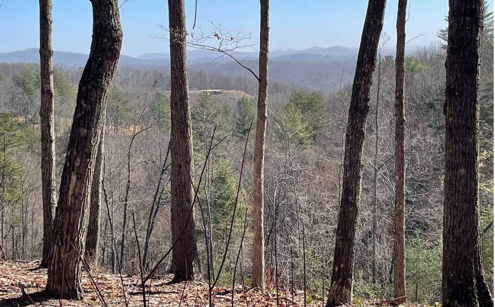 LOT 4 White Oak Circle, Blue Ridge