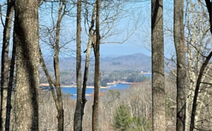 2.4 Greenridge, Blue Ridge